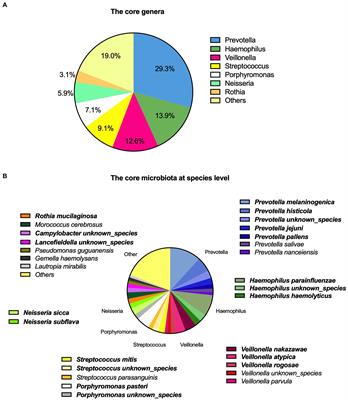 Associations of central obesity and habitual food consumption with saliva microbiota and its enzymatic profiles – a pilot study in Finnish children